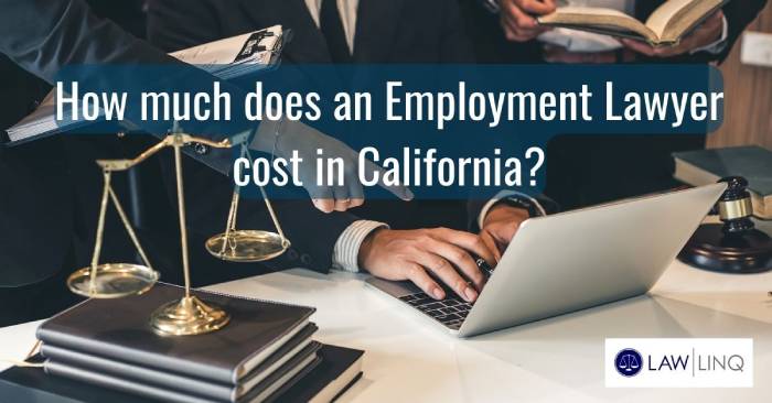 How Much Does an Employment Lawyer Cost in California?