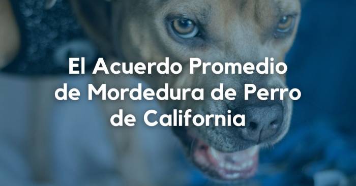 Acuerdos de mordedura de perro de California: ¿Cuál es el promedio?