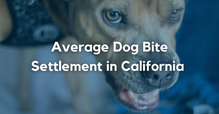 California Dog Bite Settlements: What’s the Average in 2023?