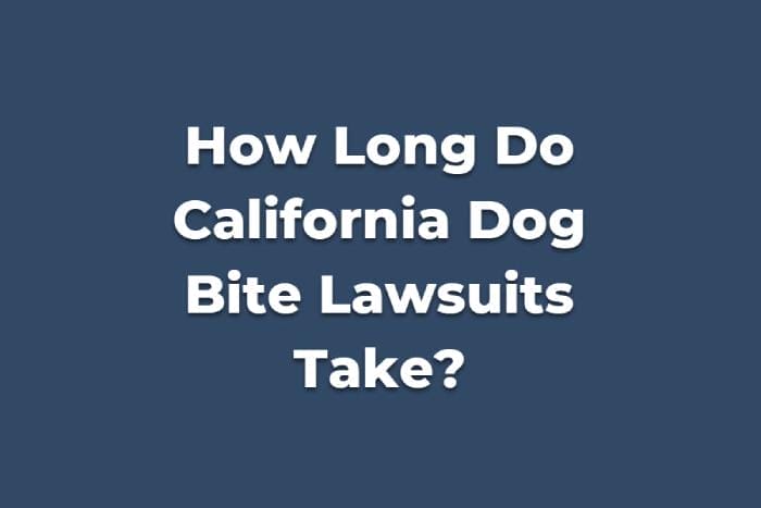 How Long Does a Dog Bite Lawsuit Take in California?